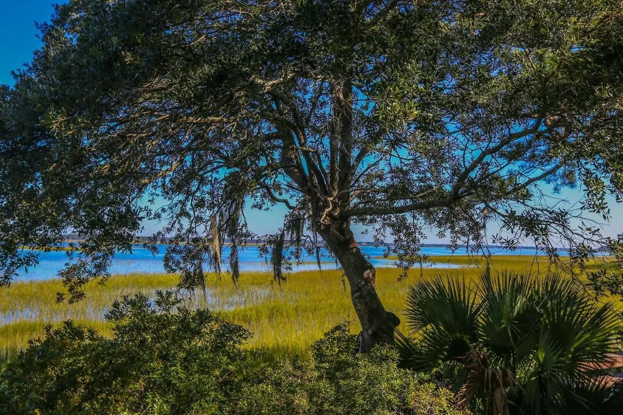 Marsh Vista *