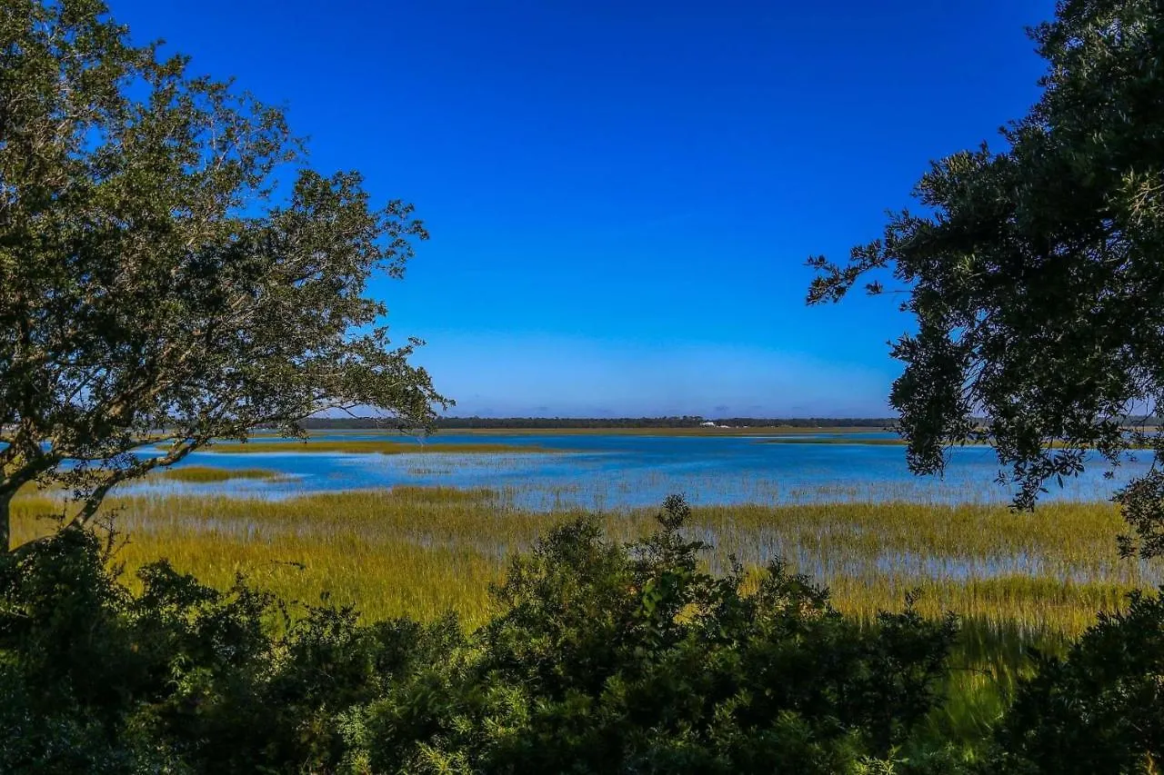 Marsh Vista