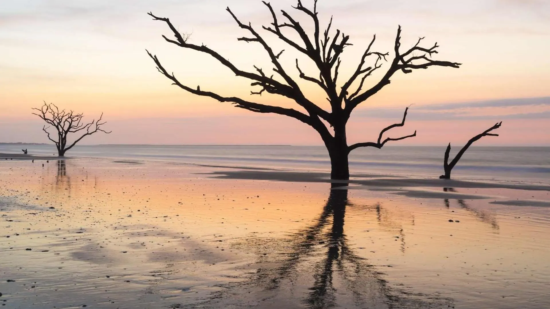 Oak Woods Kiawah Island