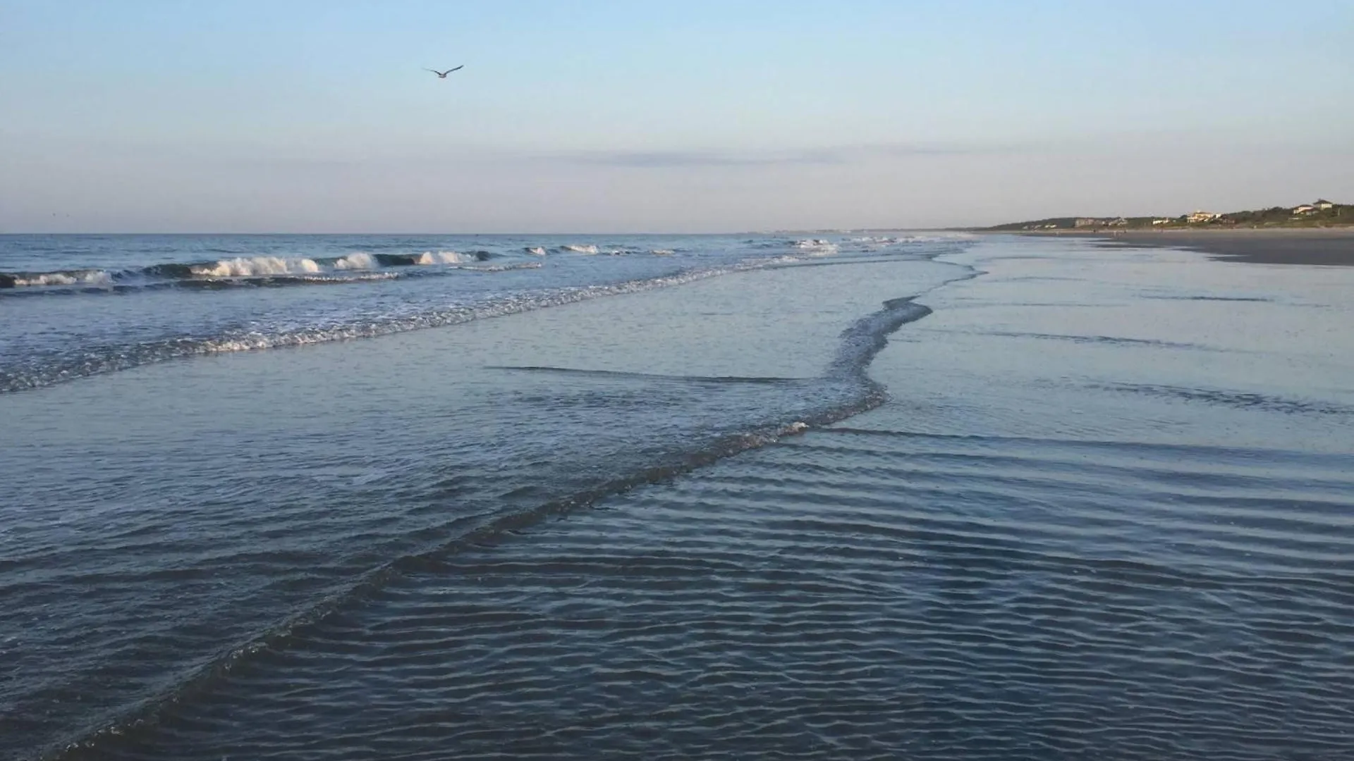 The Blue Pearl Kiawah Island