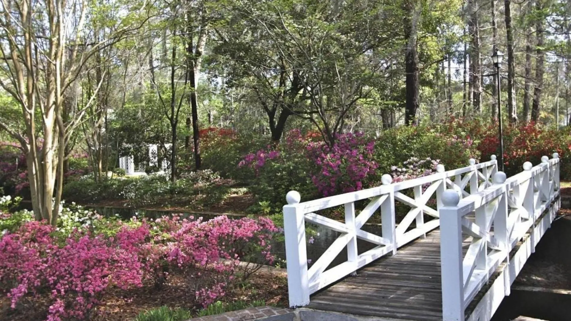 Palm Holiday home Kiawah Island