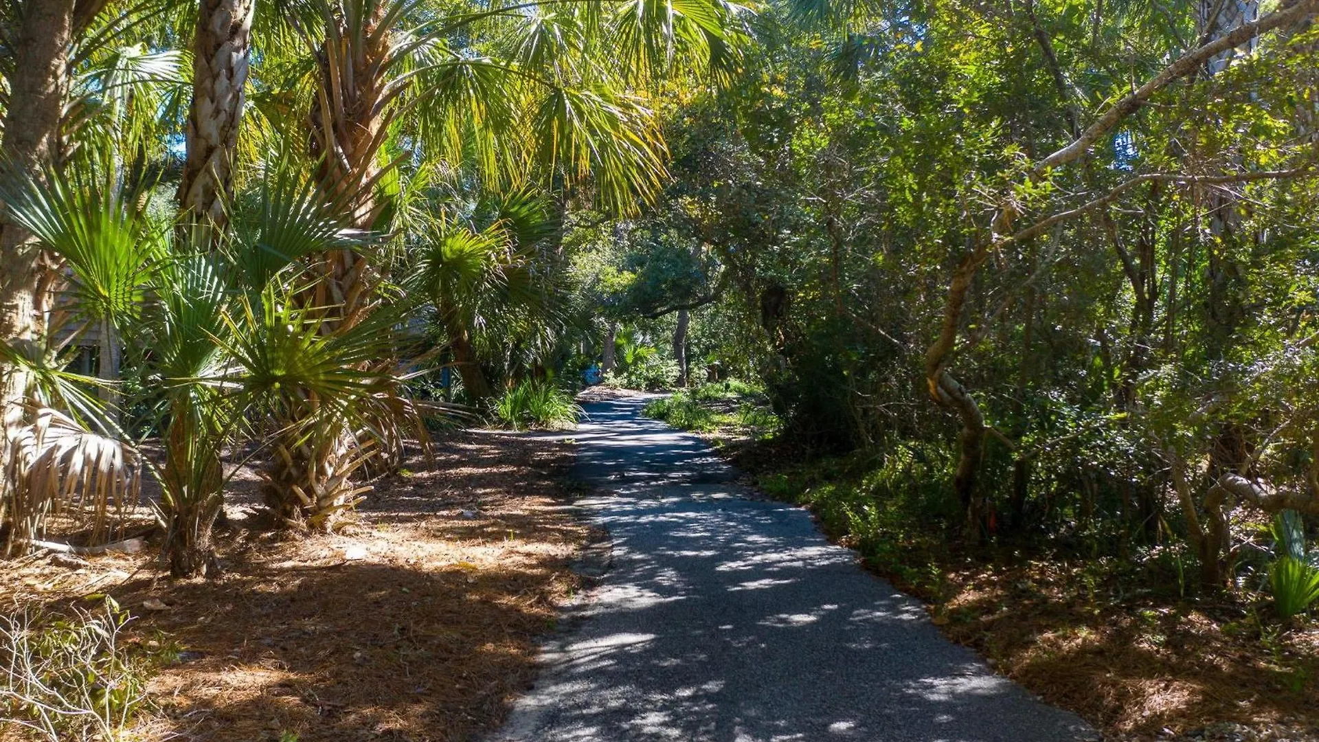 Holiday home 477 Fiddlers Reach Kiawah Island