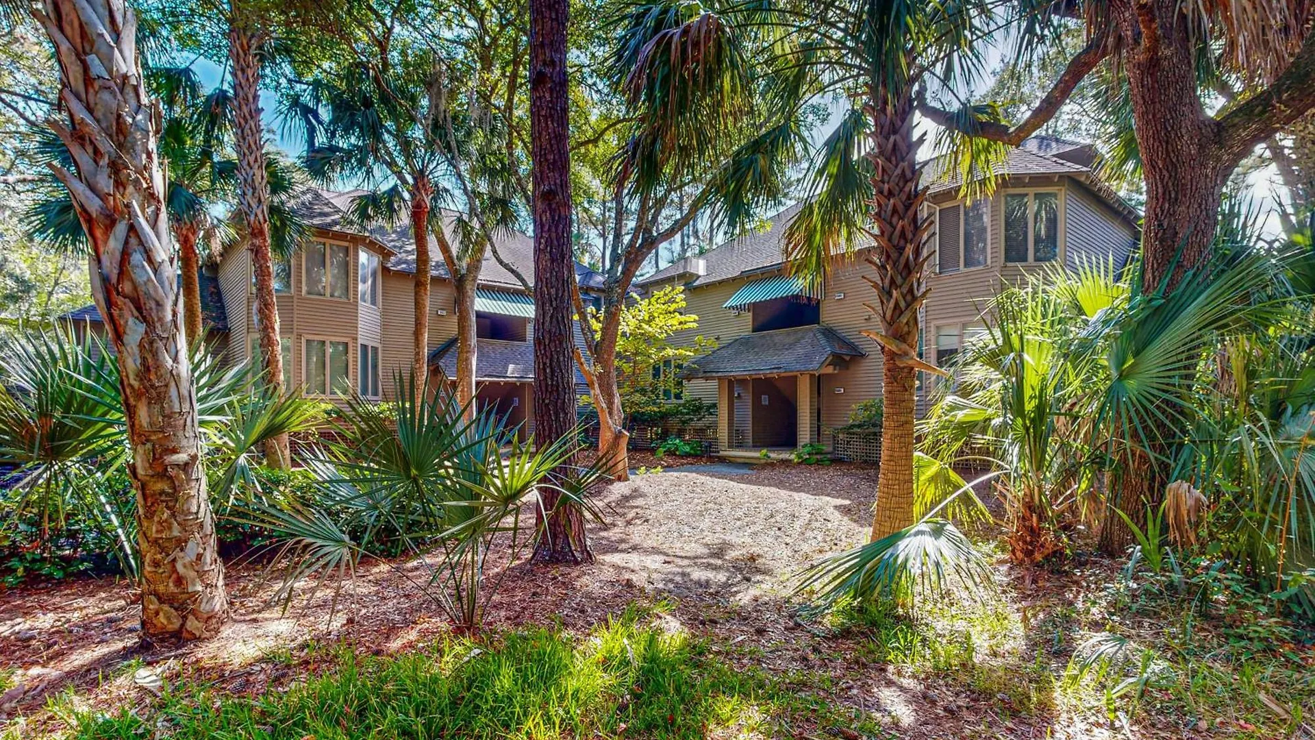 Magical Treehouse * Kiawah Island