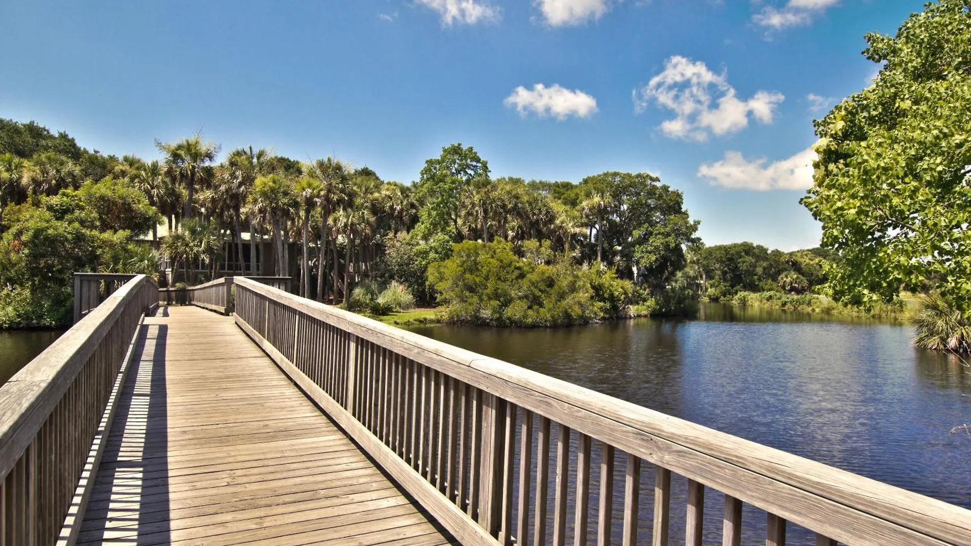 4 Silver Moss Kiawah Island