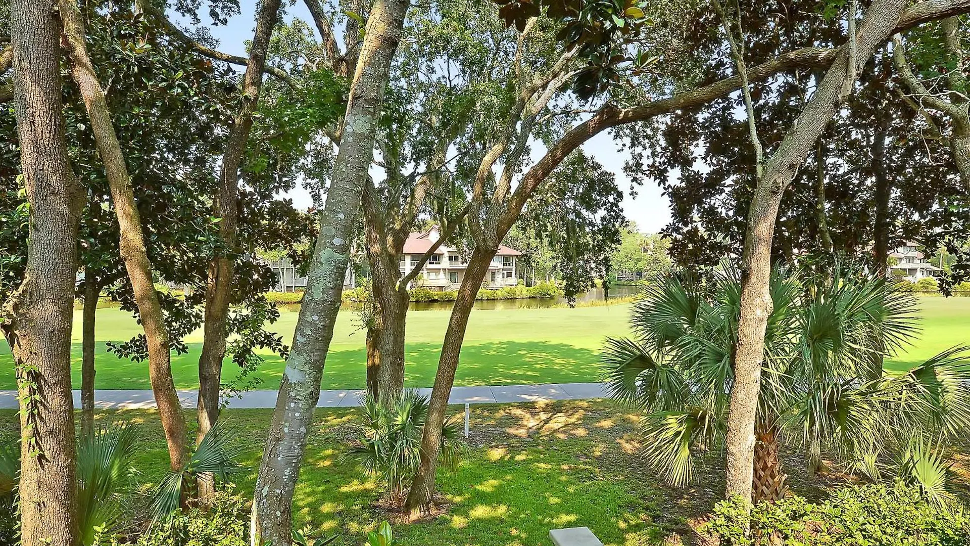 4 Silver Moss * Kiawah Island