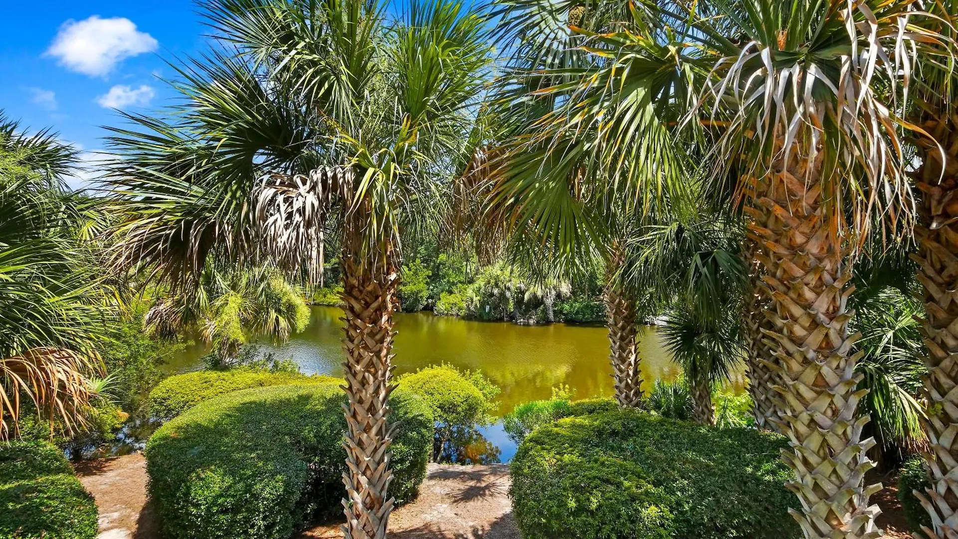 12 Surfsong Kiawah Island