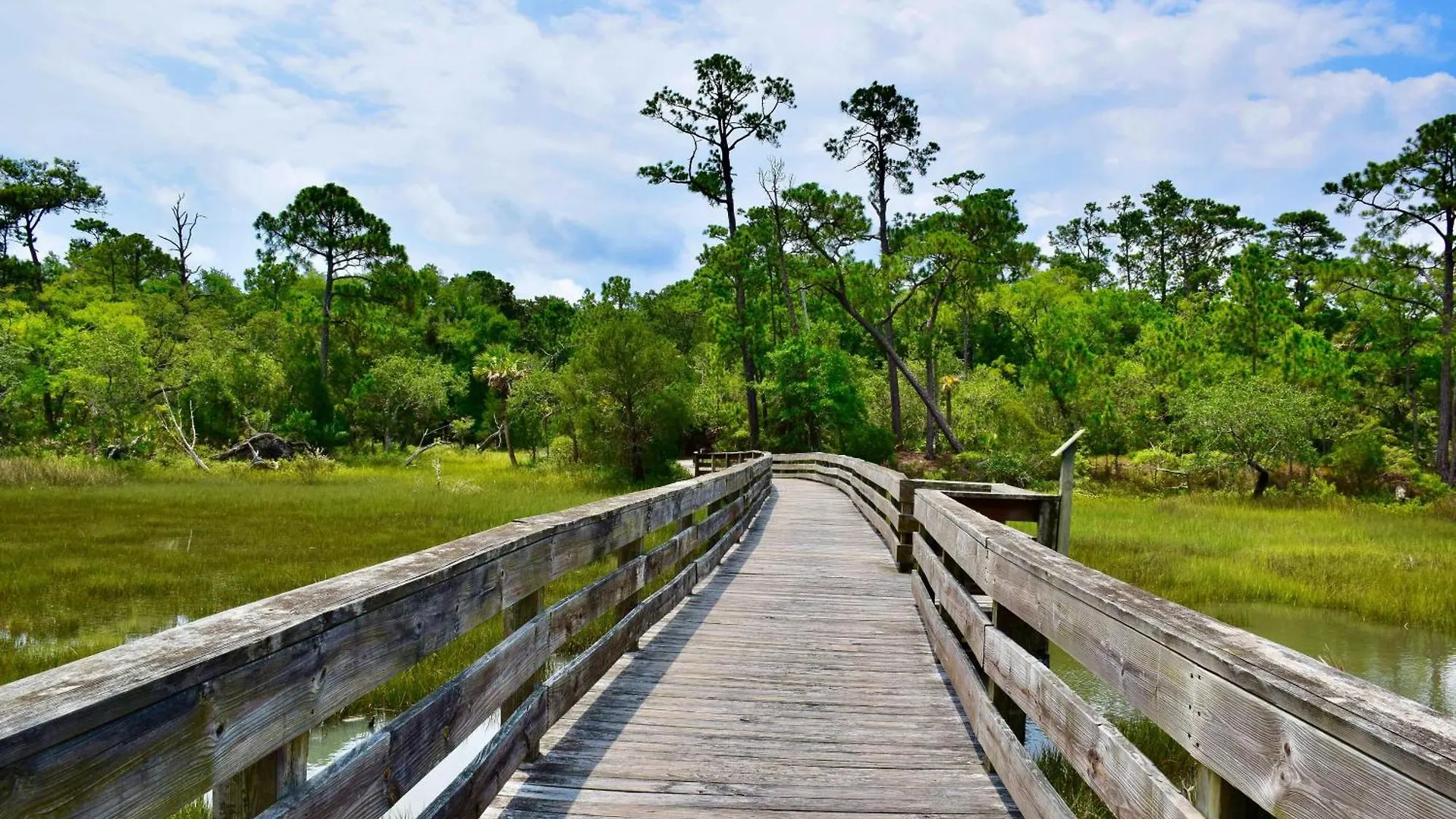 296 Marsh Cove