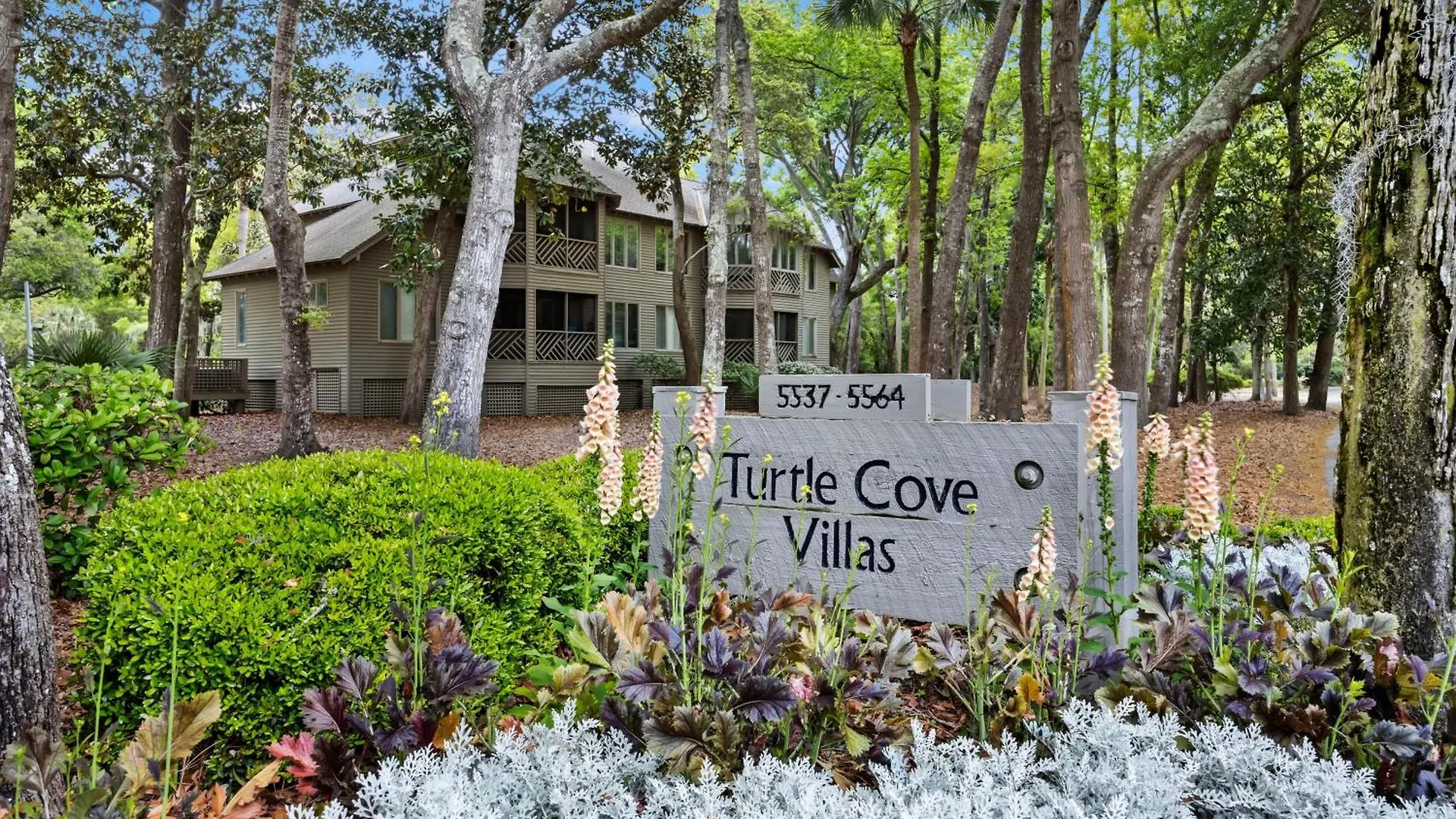5556 Turtle Cove *