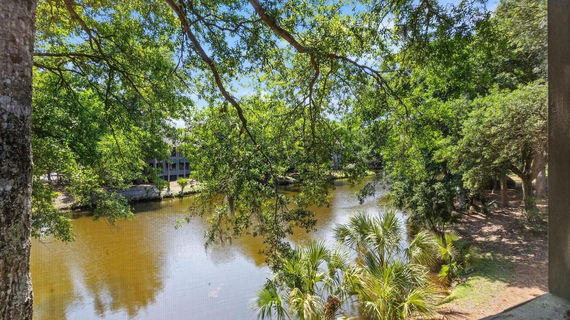 5556 Turtle Cove *