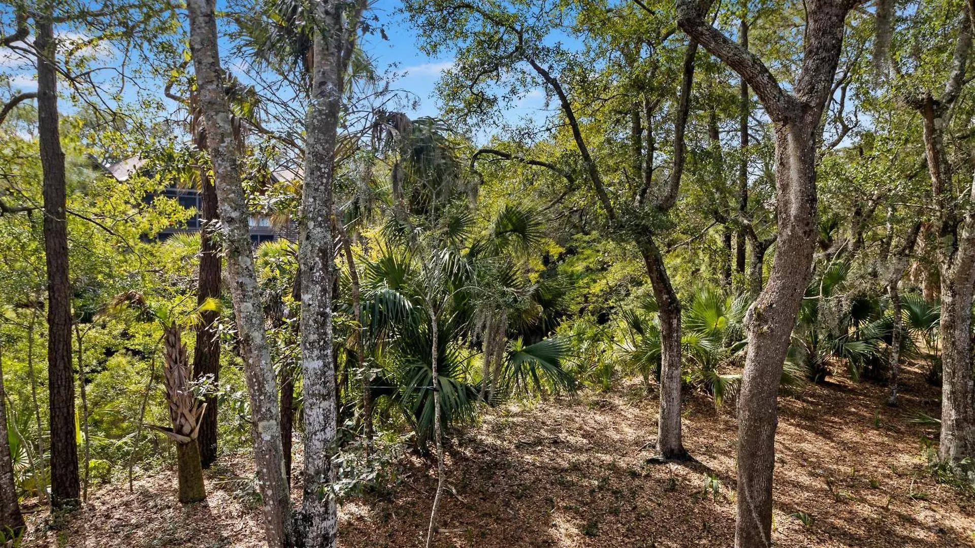 4134 Bulrush Kiawah Island