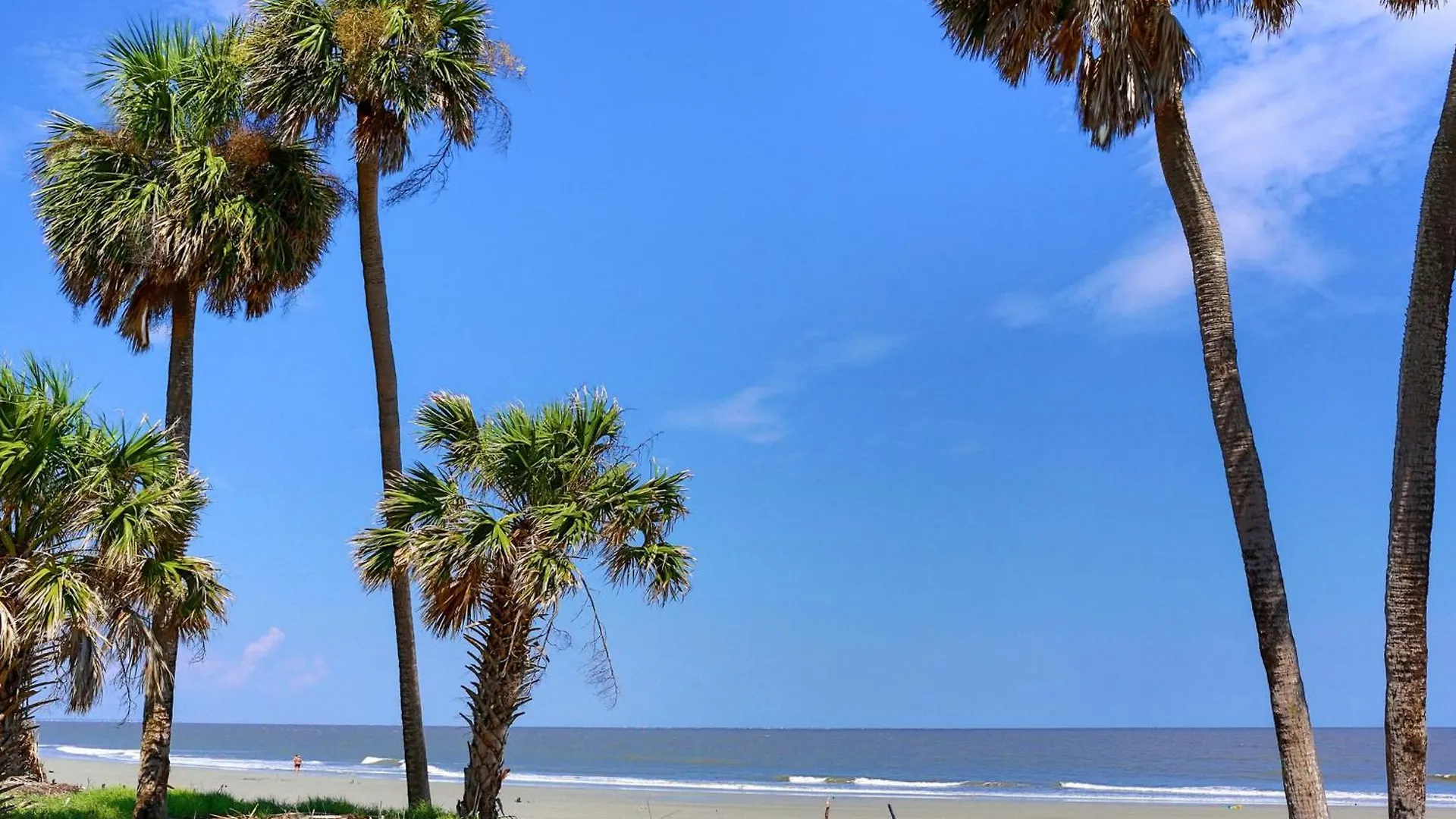 442 Oceanwoods
