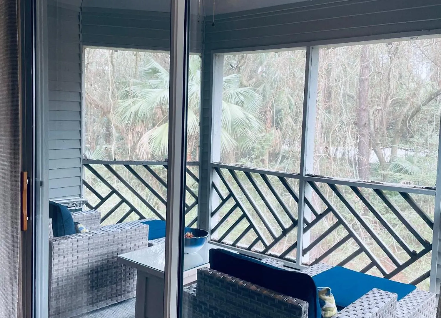 The Bromeliad At Turtle Cove