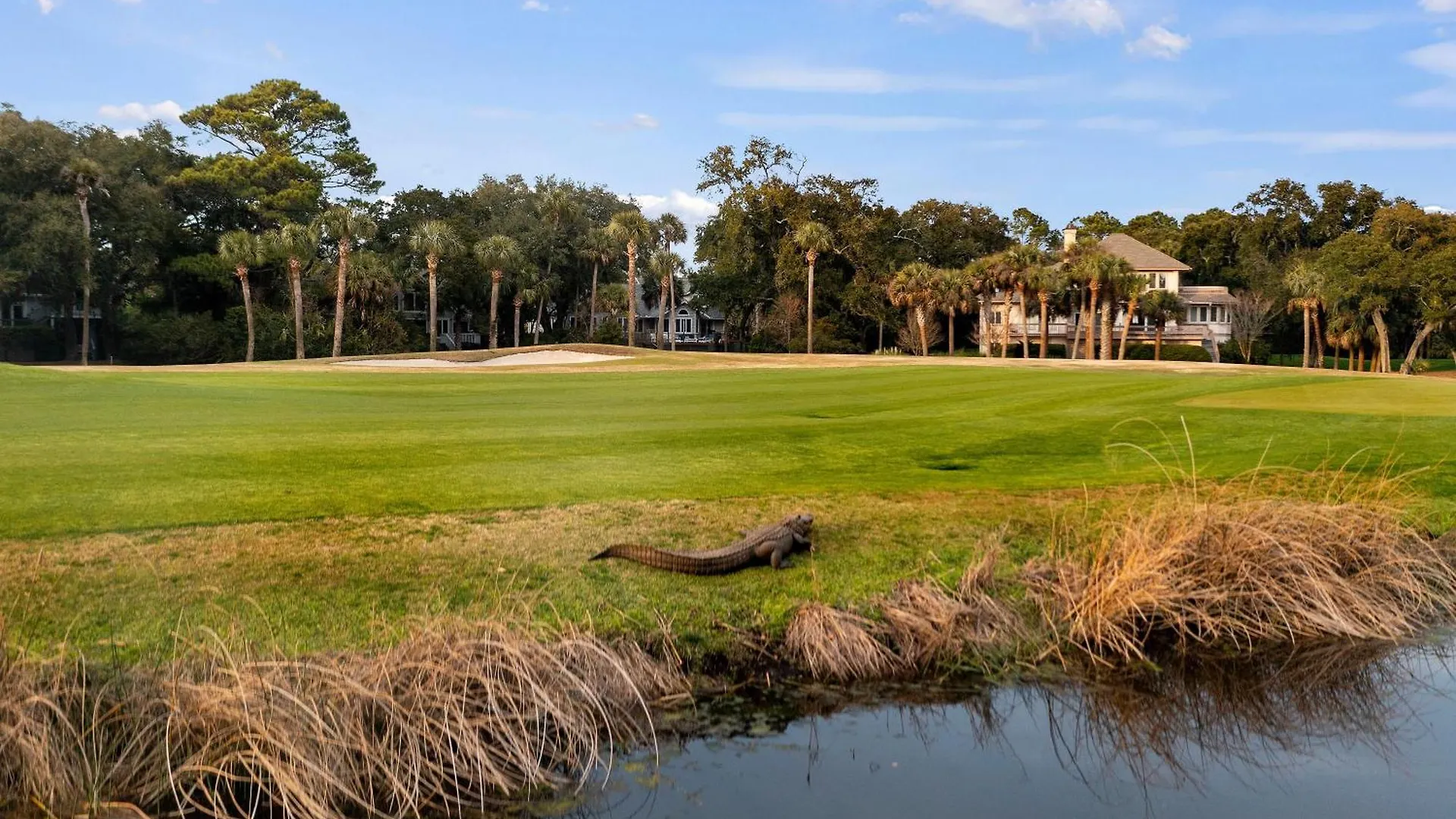 18 Flyway Drive Holiday home Kiawah Island
